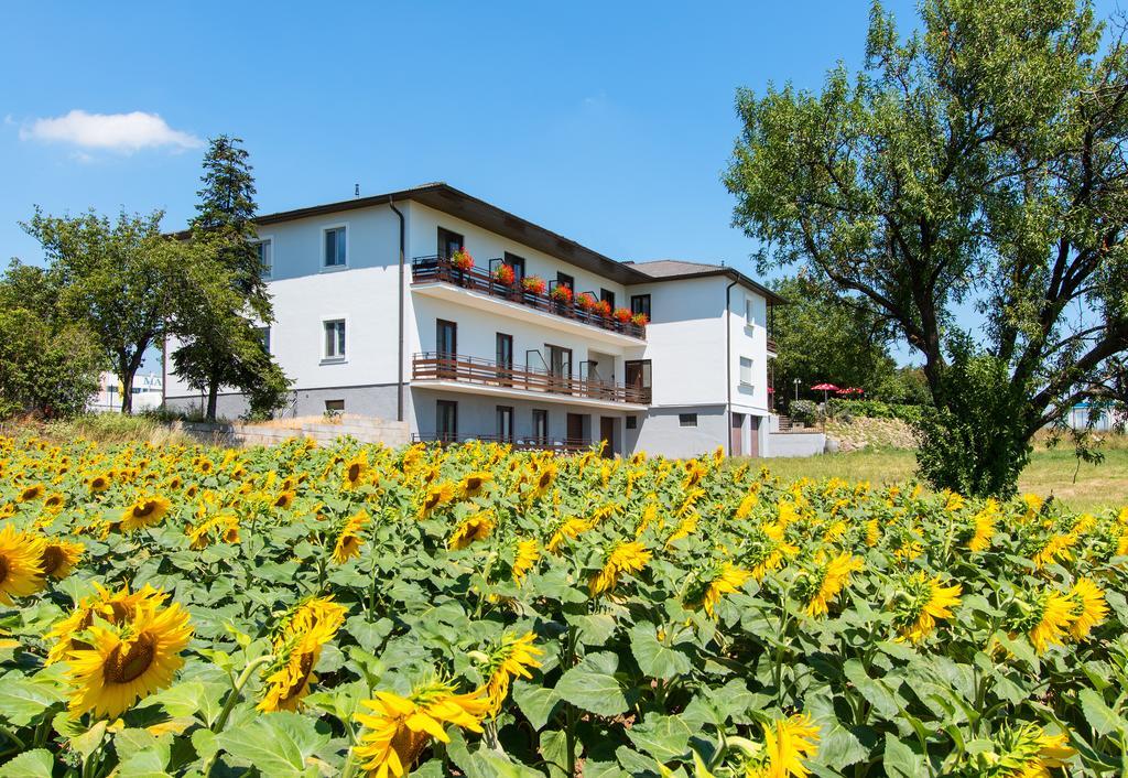 Gasthof-Pension Wein Breitenbrunn am Neusiedler See Exterior foto
